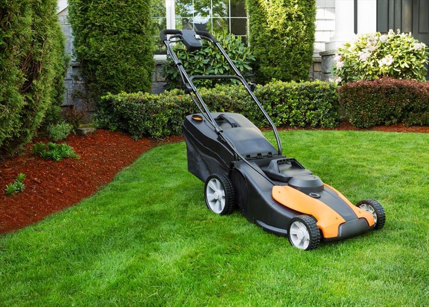 przyjazna Ogrodnicze artykuły, sprzęt, Agromir PPHU Dealer firm Stihl, MTD Mirosława Godyń, Jan Godyń, Nawojowa Góra